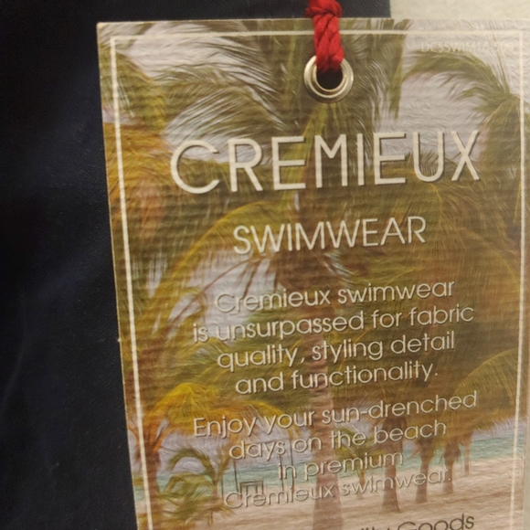 Cremieux swimwear - Picture 2 of 4
